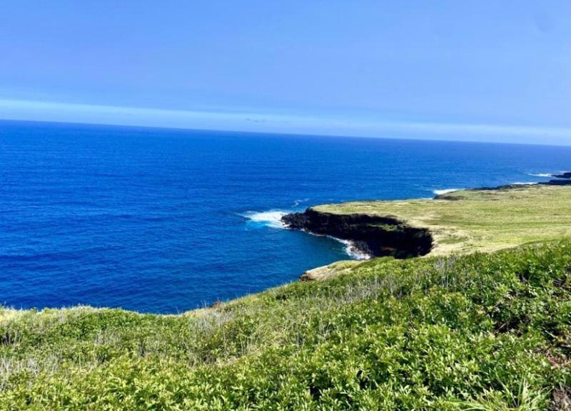 Charming 1 Bedroom Beach Condo Prime Location Great Value Pahala 외부 사진