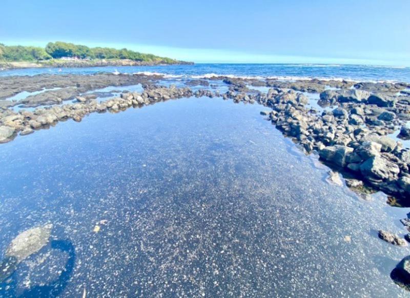 Charming 1 Bedroom Beach Condo Prime Location Great Value Pahala 외부 사진